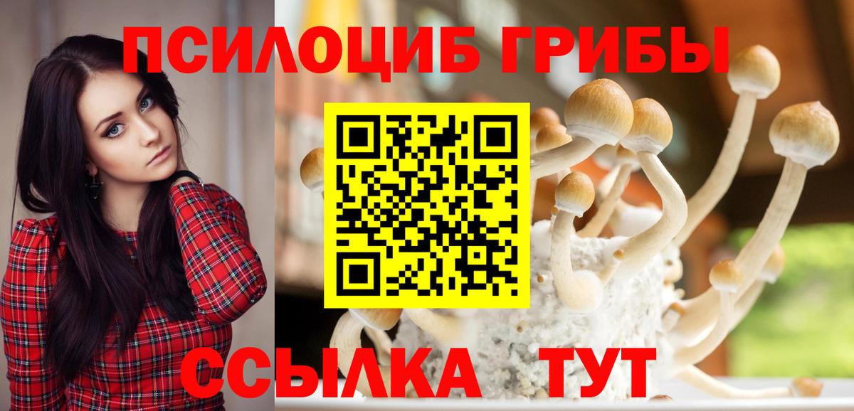 Галлюциногенные грибы Cubensis  Вход с VPN  Смоленск 